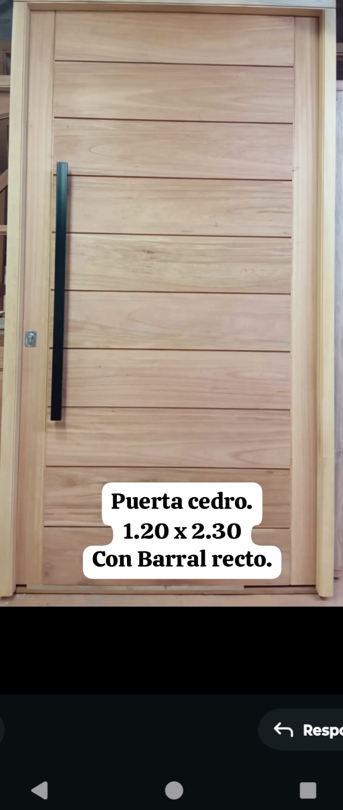 TEGNOLEÑO. OBRA VIRREY DEL PINO Image